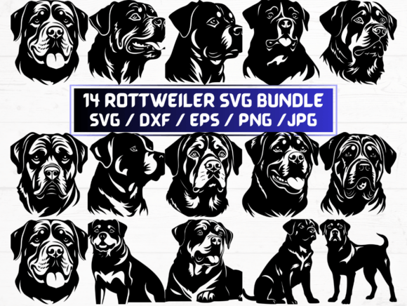 14 Rottweiler Dog Svg File: A Versatile Digital Asset for Designers and Creators