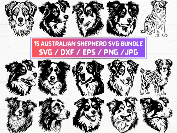 Exploring the Versatility of 15 Australian Shepherd SVG Files for Design and Creativity