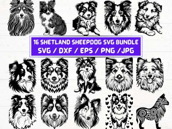 Shetland Sheepdog Svg File: A Versatile Tool for Designers and Creators
