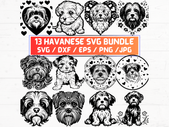 Understanding Havanese Dog SVG Files: A Comprehensive Guide for Digital Creators