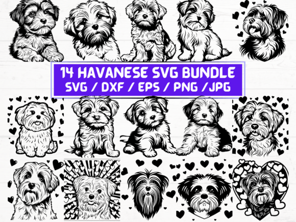 Understanding Havanese Svg File: A Comprehensive Guide for Designers and Creators