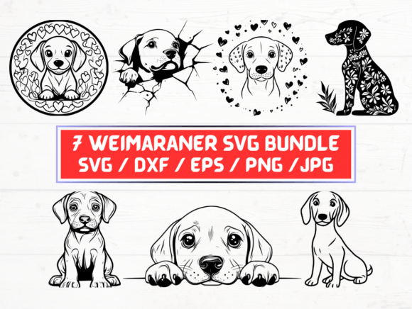 Weimaraner Dog SVG: A Versatile Digital Asset for Creative Professionals